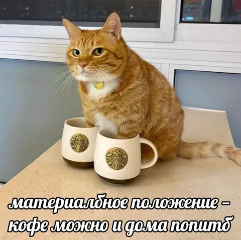 Материальное положение — кофе можно и дома попить