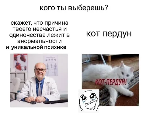 Кого ты выберешь: кот-пердун