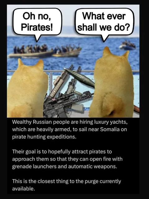 Armed Cats Hunt Pirates