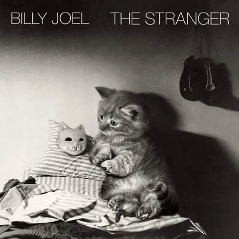 Kitten Listening to The Stranger