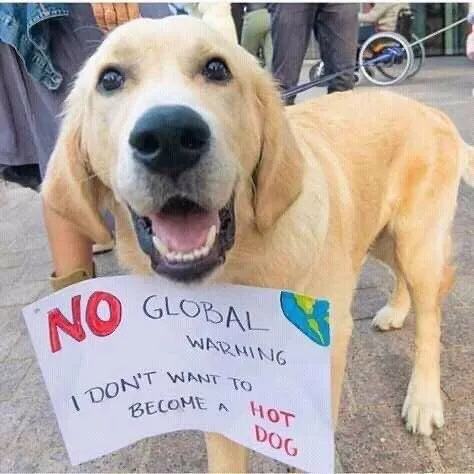 Dog Against Global Warming