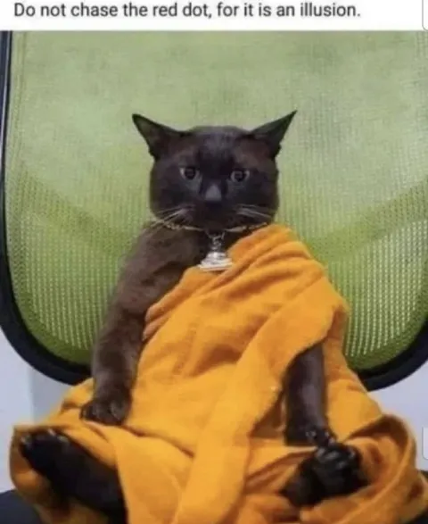 Do Not Chase the Red Dot
