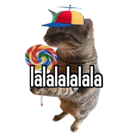 Cat Wearing a Party Hat