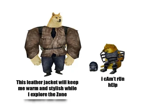 Doge Explores the Zone