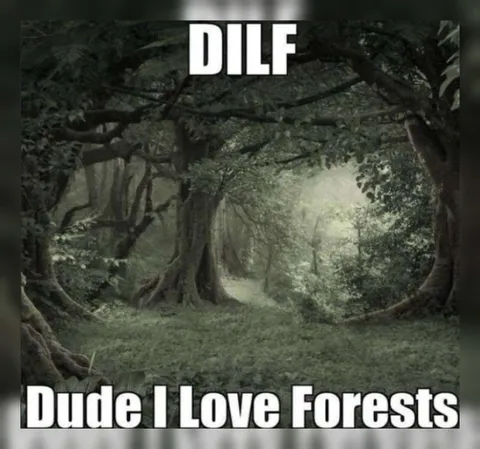 DILF: Dude I Love Forests