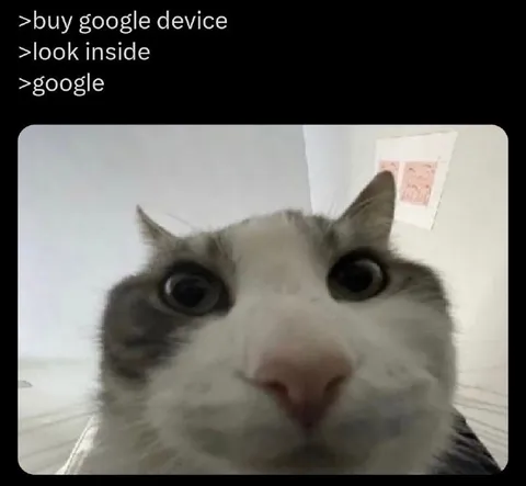 Google Device Cat