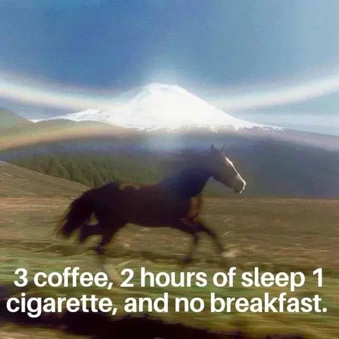 Three Coffee Two Hours Sleep