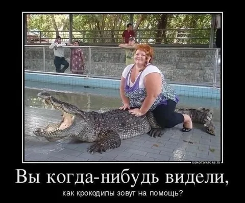 Крокодилы зовут на помощь