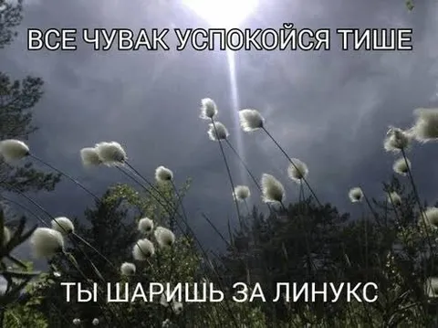 Успокойся, ты шаришь за Линукс