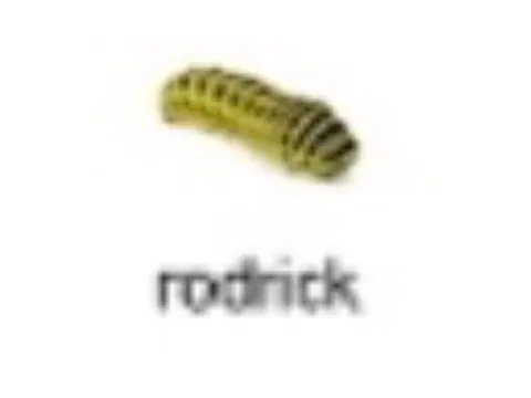 Rotndick pickle meme