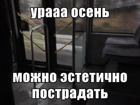 Урааа осень можно эстетично пострадать