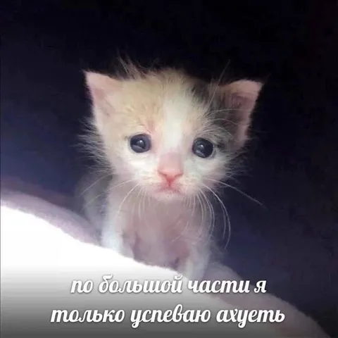 Я только успеваю ахуеть