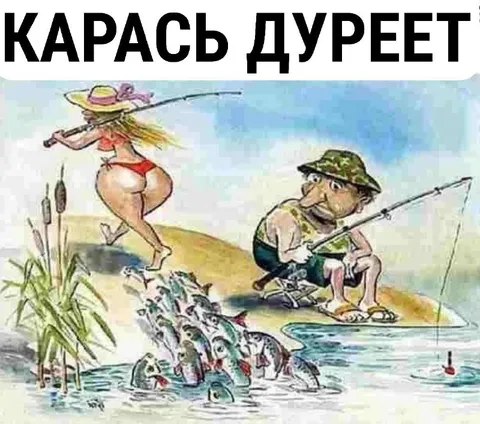 Карась дуреет от рыбачки