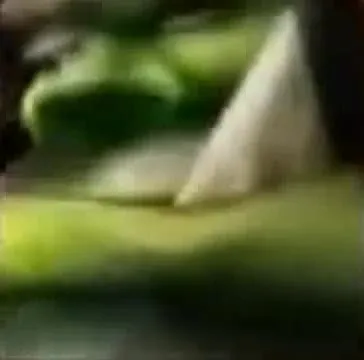 Огр орёт в камеру