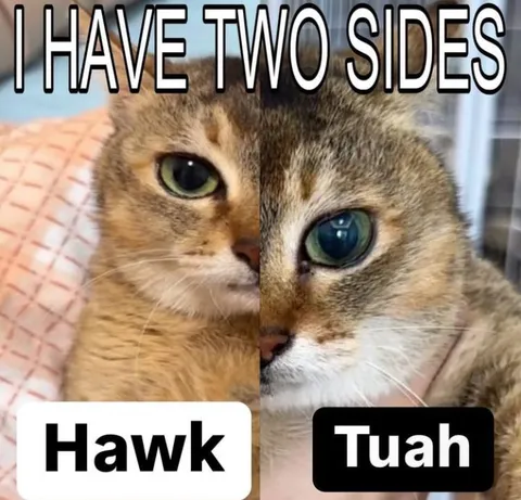 I Have Two Sides Hawk Tuah Cat