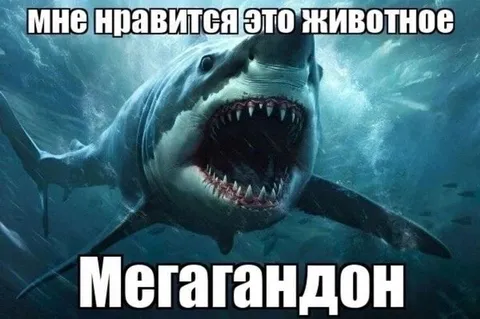 Мне нравится это животное — мегалодон