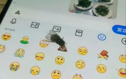 Муха на какашке