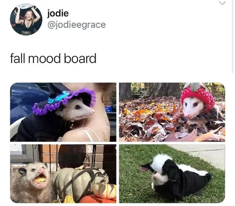 Fall Mood Board