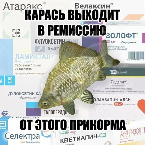 Карась выходит в ремиссию