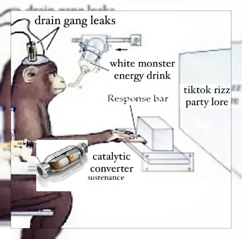 Drain Gang Leaks Computer Meme