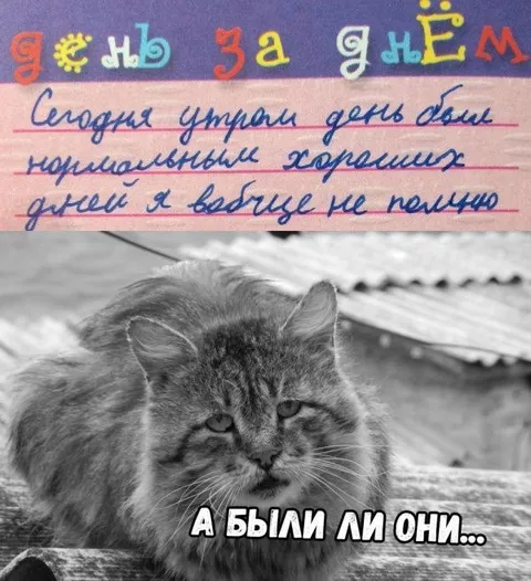 А были ли они