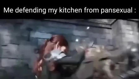 Defending My Kitchen Like a Knight