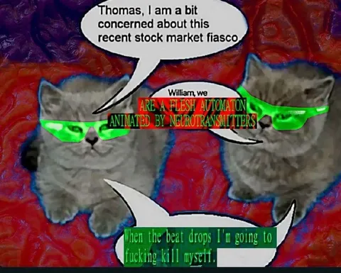 Cats Discuss the Stock Market