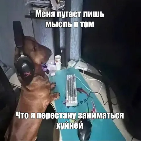 Собака за компьютером и безделье