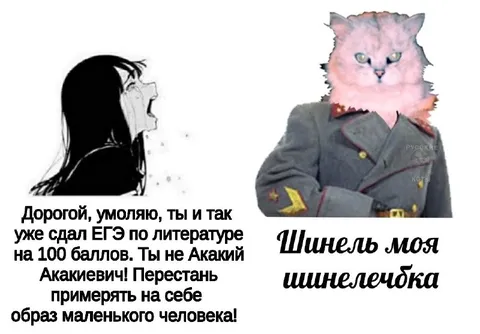 Шинель моя шинелечка