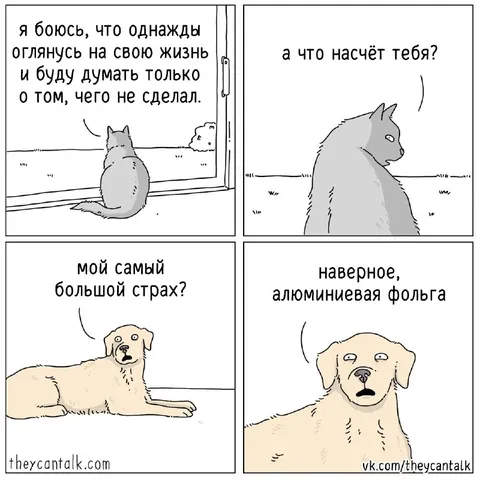 Самый большой страх собаки