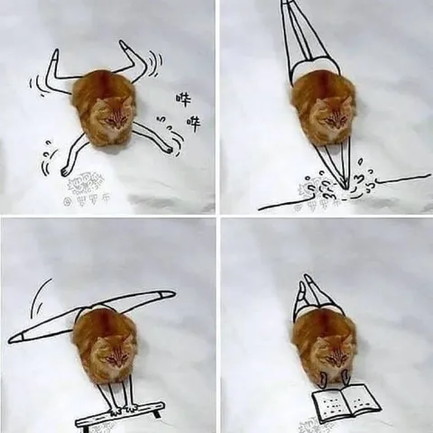 猫咪变成纸飞机