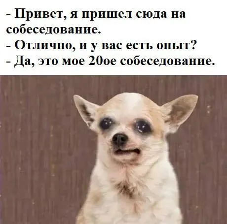 200-е собеседование