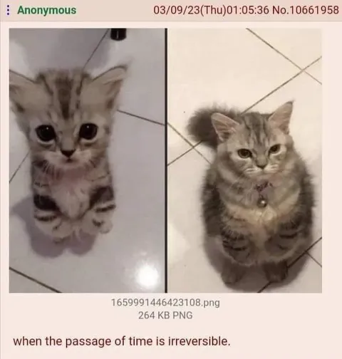 When Time Changes Everything