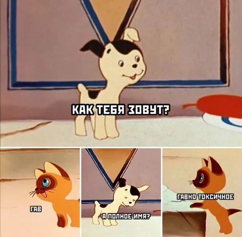 Как тебя зовут? Гавно токсичное