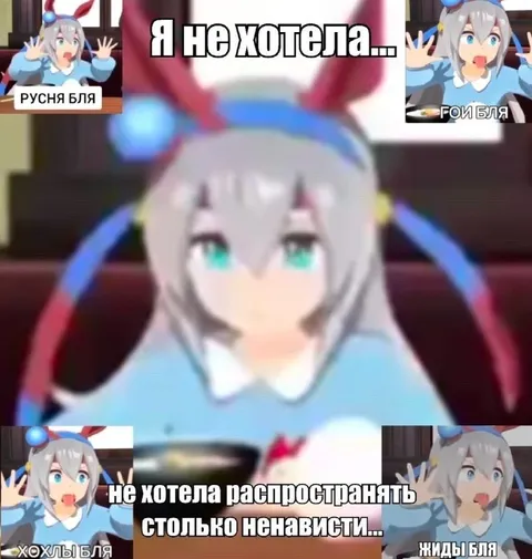 Я не хотела распространять ненависть