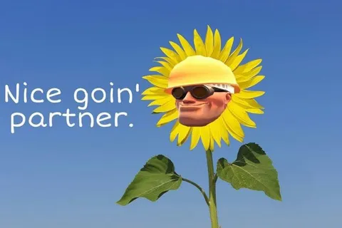 Nice Goin' Partner Sunflower