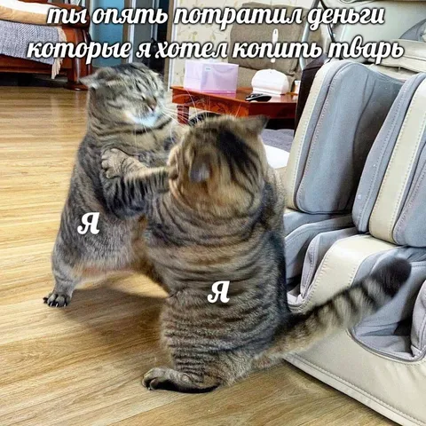 Ты опять потратил мои деньги