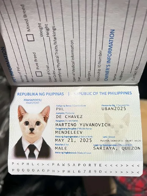 Cat Passport from the Philippines