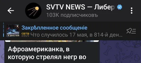 Афроамериканка, в которую стрелял негр