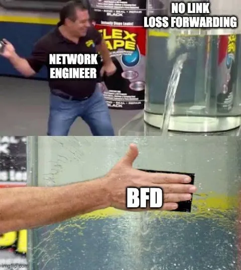 Network Engineer BFD Reaction