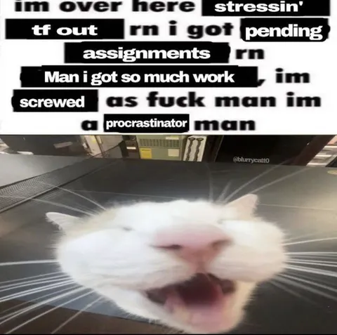 Procrastinating Cat Under Pressure