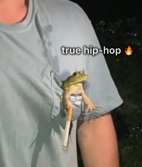 True Hip-Hop Frog