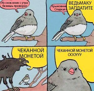 Попугай поёт Ведьмаку