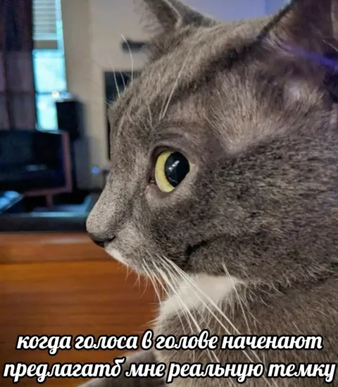 Голоса в голове предлагают темку