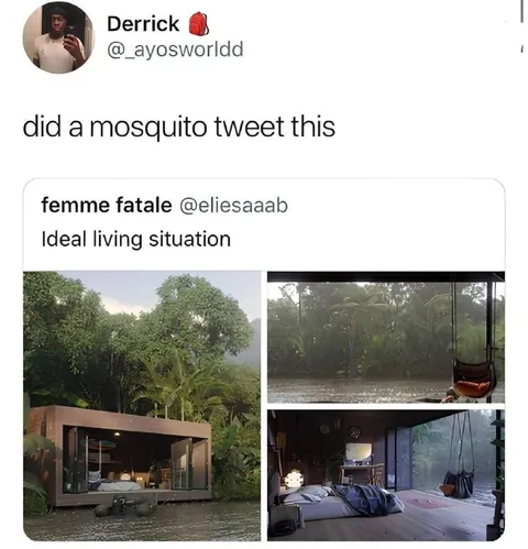 Ideal Living Situation in the Rain