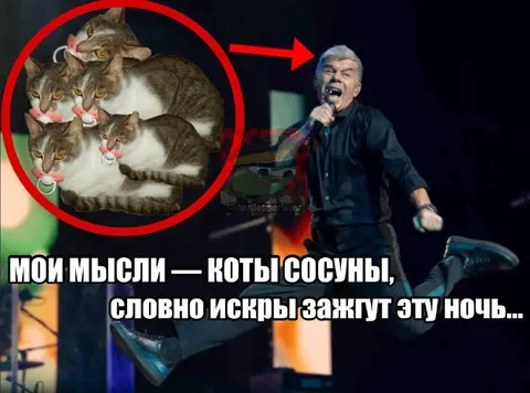 Коты-сосуны зажигают ночь