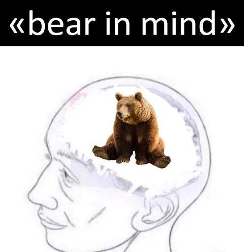 Bear in Mind Pun Meme