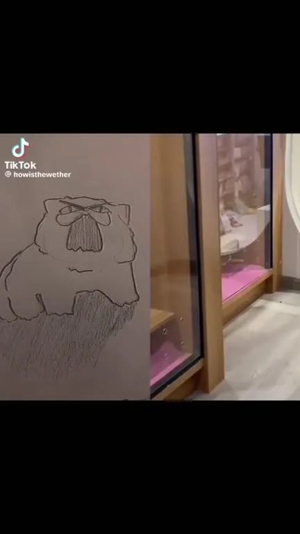 Кот оживает с рисунка