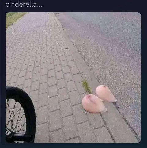 Cinderella Lost Her Shoes