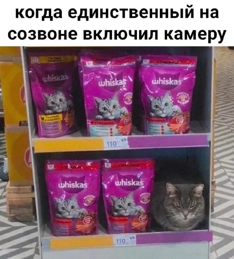 Когда единственный включил камеру